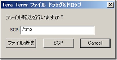 /tmp領域に転送したい場合